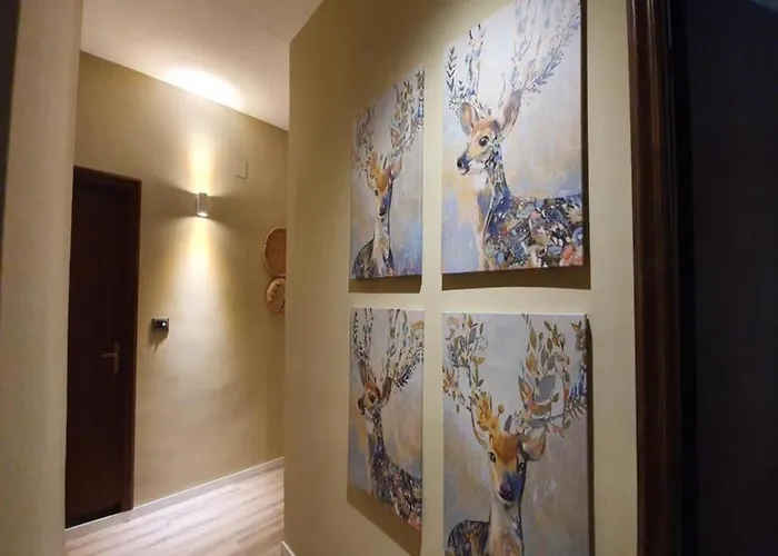 Konukevi Interno 4 - Maselli 3*